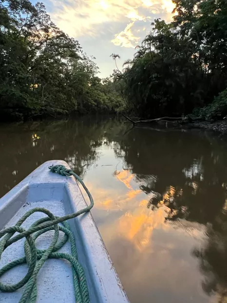 Proa de una lancha sobre el río a la hora dorada
